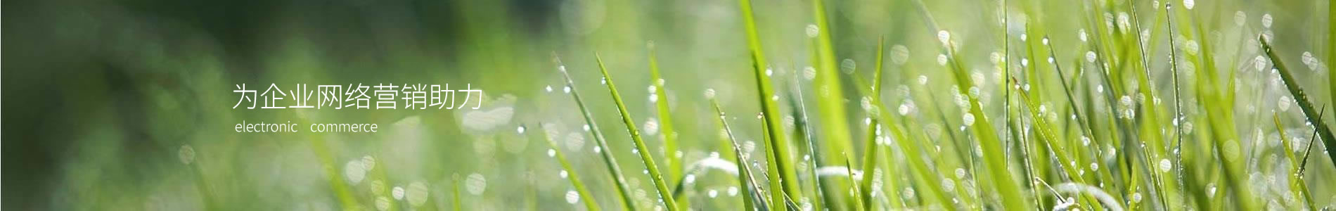 ֮Ƽ޹˾
